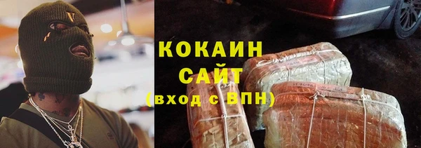 шишки Богородицк
