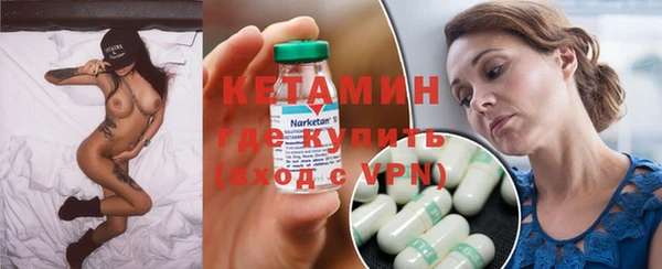 шишки Богородицк