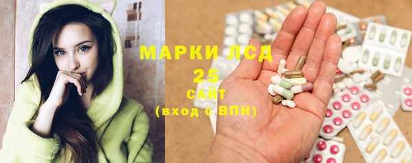 шишки Богородицк