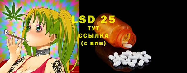 шишки Богородицк