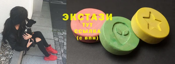 шишки Богородицк