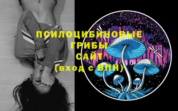 шишки Богородицк